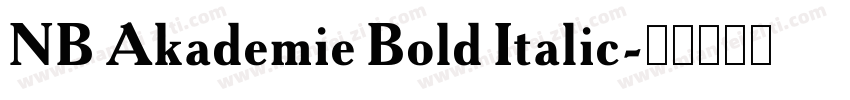 NB Akademie Bold Italic字体转换